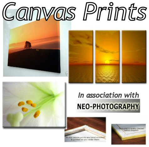 Canvas+prints